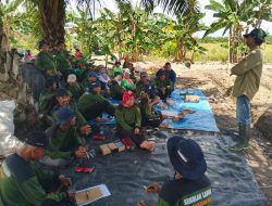 Pemprov Kalteng bantu 30 petani di Kapuas melalui SLPHT